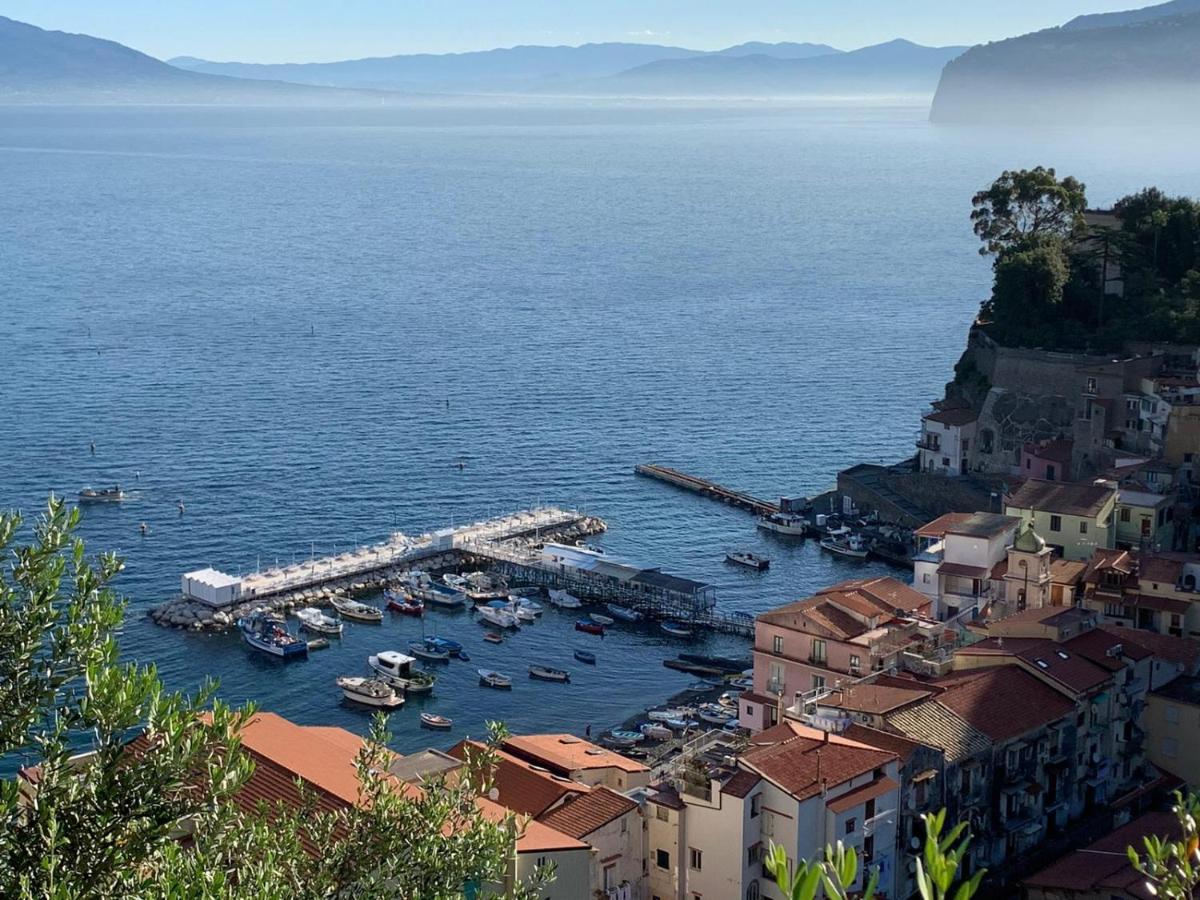 Profumo Di Mare Apartment Marina Grande Sorrento Dış mekan fotoğraf